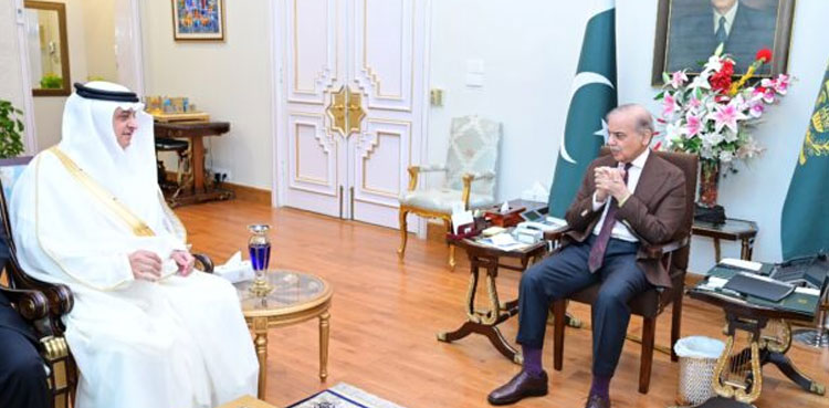 PM Shehbaz discusses Pak-India tension with UAE, Saudi, Kuwait ambassadors