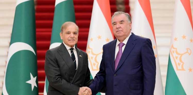 PM Shehbaz seeks global action against India’s illegal actions