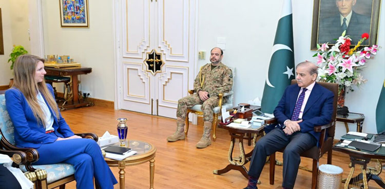 UK high commissioner, Iranian FM meet PM Shehbaz amid Pak-India tensions