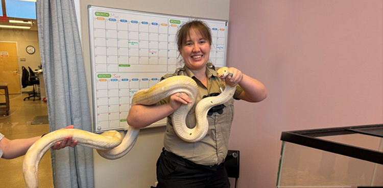 Lost in Iowa, found in Illinois: A Python’s new home