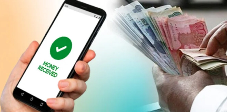 CM Punjab implements digital wage payment system for forest workers