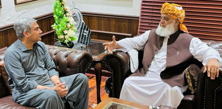 Mohsin Naqvi meets Maulana Fazl ahead of JUI-F protest