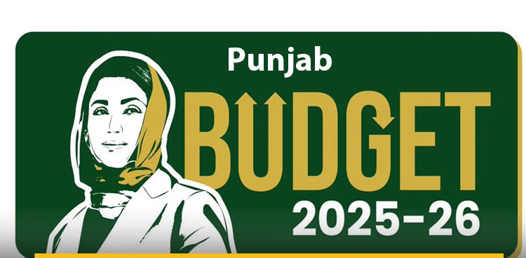 Punjab Budget 2025-26 at a glance