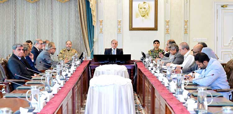 PM Shehbaz says no taxes on fertilizers, pesticides in budget 2025-26