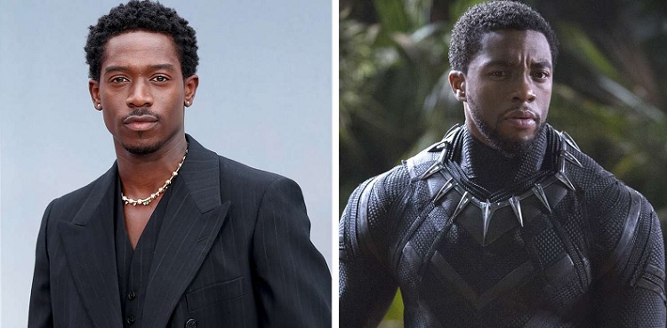 Damson Idris fuels 'Black Panther 3' casting speculations