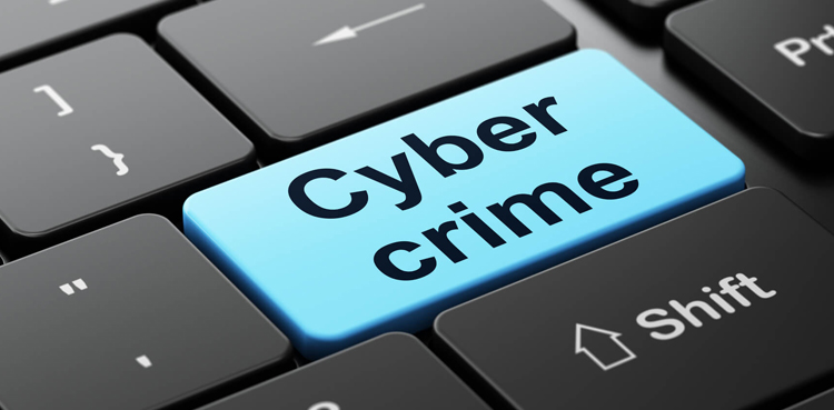 NCCI foils major cyber crime network