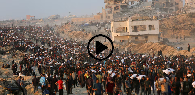 Watch: Gazans make life-risking journeys to seek food amid Israeli bombardment