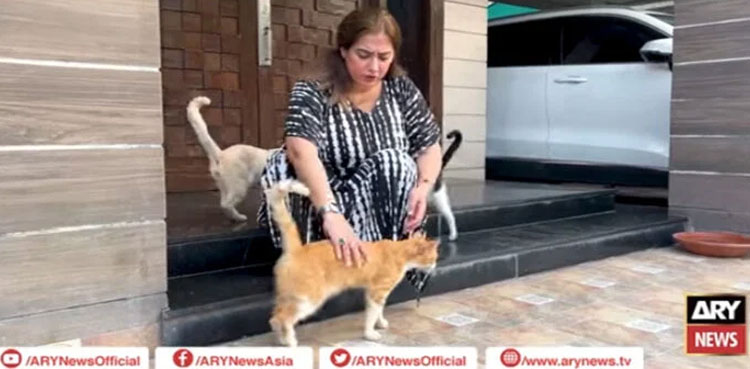 Nadia Khawaja Hassan: Meet the rescuer healing abandoned animals in Lahore
