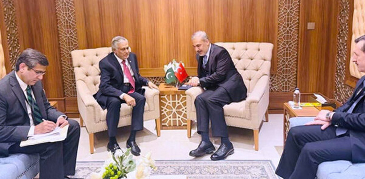 Pakistan, Turkiye call for immediate ceasefire in Gaza