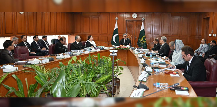 Judicial committee formed on enforced disappearances