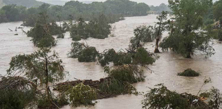 Death toll from Texas floods reaches 67, including 21 children