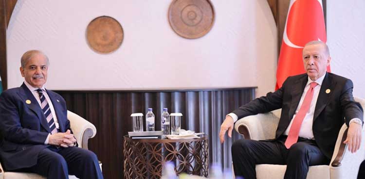 PM Shehbaz, Turkiye president vow expanding bilateral relations