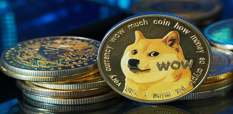 DOGE to PKR: Conversion Rate; August 25, 2025