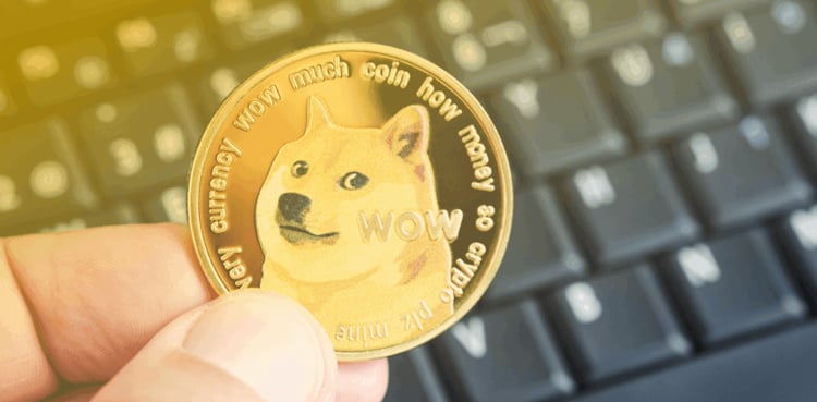 DOGE to PKR: Conversion Rate; July 09, 2025