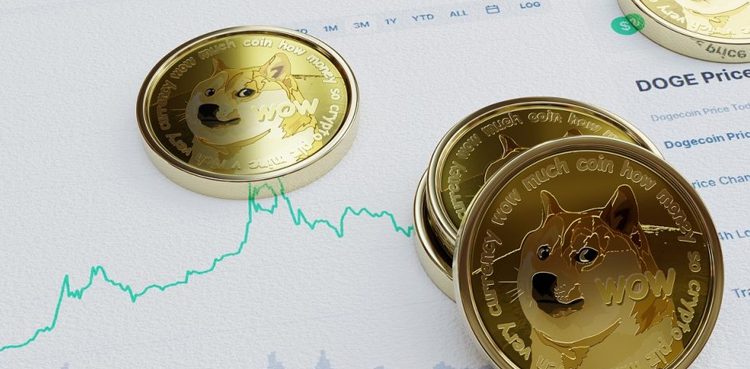 DOGE to PKR: Conversion Rate; August 13, 2025