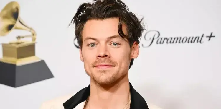 Harry Styles's mystery woman identified