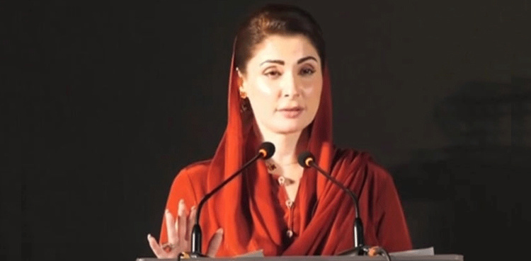 Regulatory authority launched in Punjab to combat inflation, land encroachments