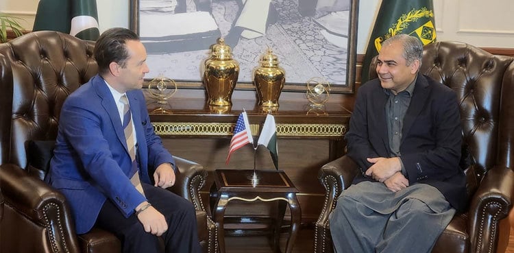 US-Pakistan counterterrorism dialogue to help form joint strategy: Naqvi