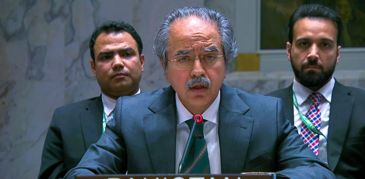 Pakistan calls for ceasefire, Israeli withdrawal in Gaza at UNSC briefing