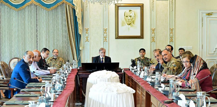 PM Shehbaz orders national-level coordination to tackle flood crisis