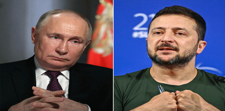 South Africa pushes for Putin-Zelensky meeting