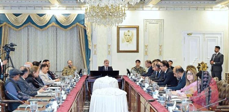 PM Shehbaz announces cabinet’s one-month salary for KP flood victims