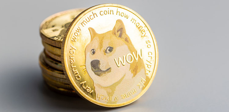 DOGE to PKR: Conversion Rate; August 28, 2025