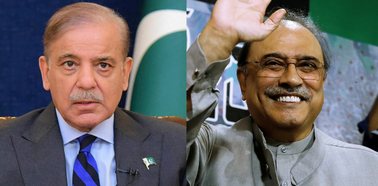 Zardari, Shehbaz call for unity on 78th Independence Day