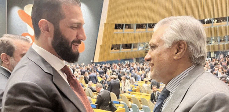 Ishaq Dar meets Syrian President Ahmed al-Shara’a on UNGA sidelines, pledges to deepen ties