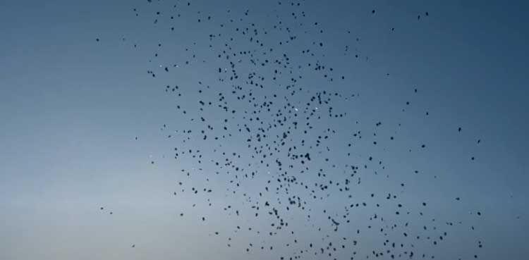 Israeli military evacuation order triggers panic in Gaza City