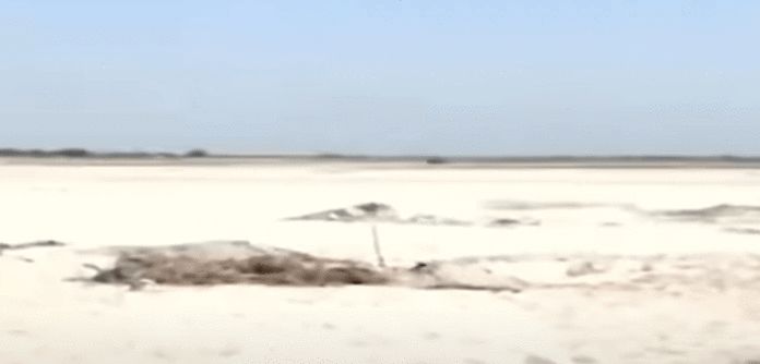 Punjab village buried under sand after flood, residents dig desperately for their homes