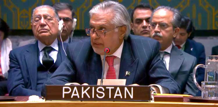 Ishaq Dar writes to UNSC, urges action against India's demographic engineering in occupied Kashmir