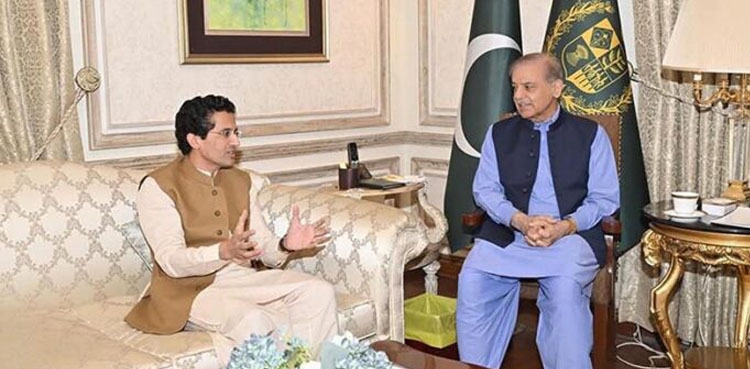 PM Shehbaz reviews energy projects amid flood crisis