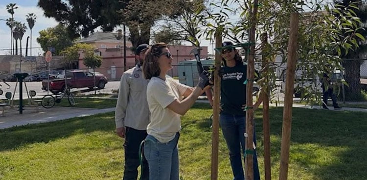 Jennifer Garner and her kids’ tree-planting project becomes a green success story