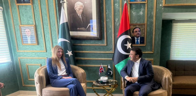 British HC, Sindh home minister discuss security cooperation, police reforms