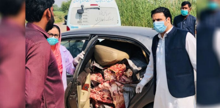 Punjab Food Authority, Sargodha, seizes 1,200 kg of unhygienic meat