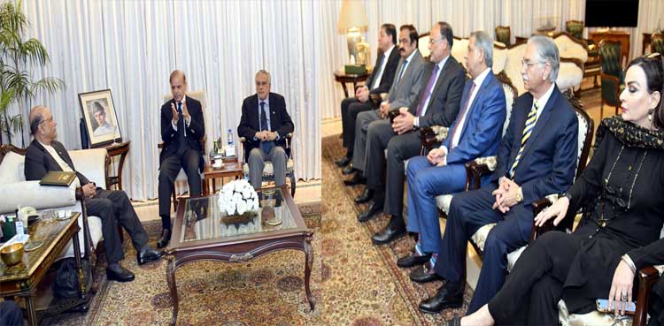PM Shehbaz meets President Zardari, reviews political, security situation