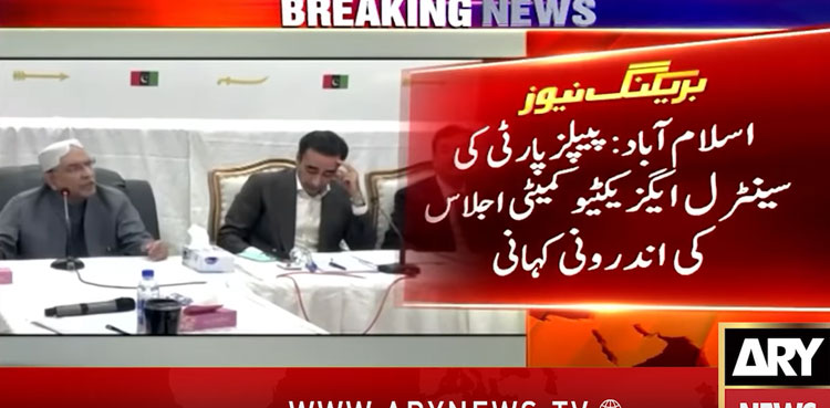 Inside story: PPP CEC 'divided' over alliance with federal govt