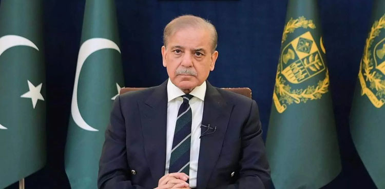 PM Shehbaz says Indian-sponsored terrorists behind Islamabad suicide attack PM Shehbaz says Indian-sponsored terrorists behind Islamabad suicide attack