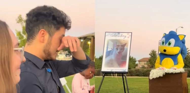 TikTok: Sonic the Hedgehog's eulogy for a cat goes viral
