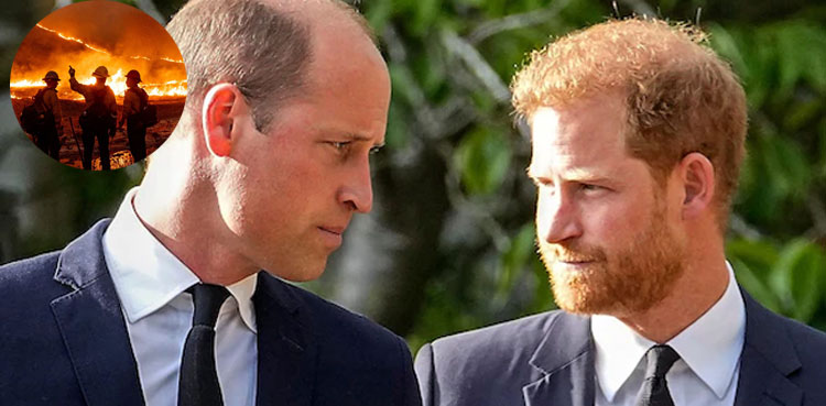 Prince William ‘terrified’ watching wildfires near Prince Harry’s home