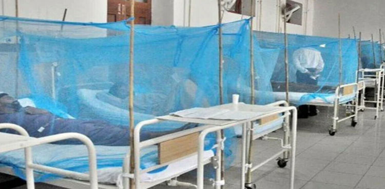 Dengue kills two more in Karachi; 90 new patients hospitalized in 24 hours
