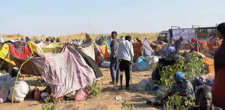 Hundreds killed by armed men, disappeared after Sudanese city falls to paramilitaries, witnesses say