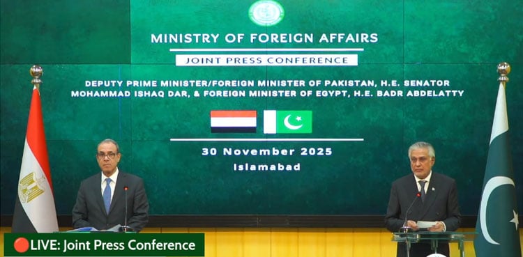 Egypt hopes Pakistan will contribute ‘expertise, resources’ to rebuild Gaza