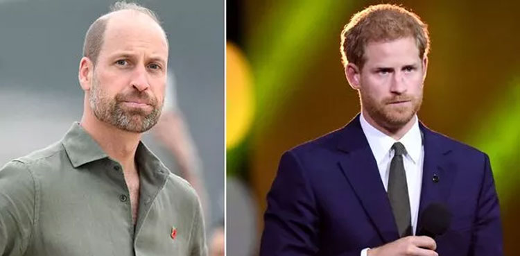 Prince William makes major announcement in Brazil as Harry visits Canada