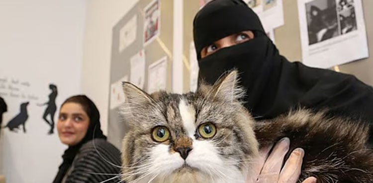 Kuwait bans import of dogs and cats