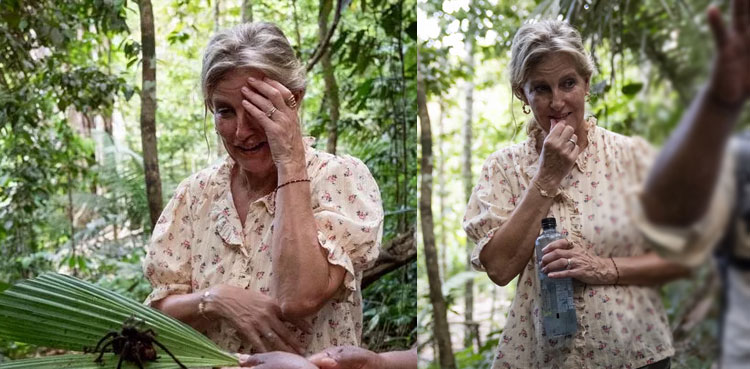 Duchess Sophie’s terrifying reaction to giant spider steals show on royal visit