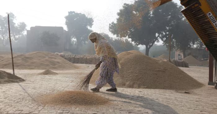 India says no dumping in premium basmati rice exports to US
