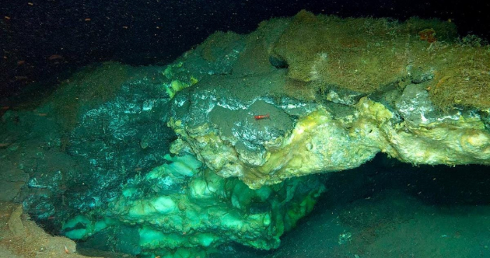 Arctic Discovery: Deepest Methane Seeps and Ecosystem Found in Greenland Sea