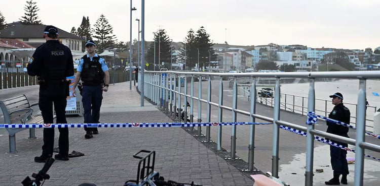 Father, son behind Bondi Beach shooting that killed 15, Australian police say